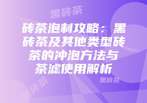 砖茶泡制攻略：黑砖茶及其他类型砖茶的冲泡方法与茶滤使用解析
