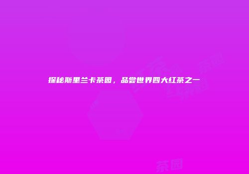 探秘斯里兰卡茶园，品尝世界四大红茶之一