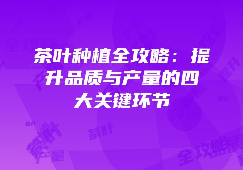 茶叶种植全攻略：提升品质与产量的四大关键环节