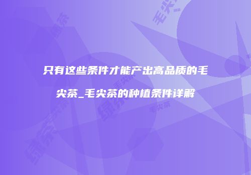只有这些条件才能产出高品质的毛尖茶_毛尖茶的种植条件详解