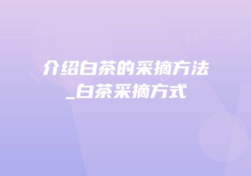 介绍白茶的采摘方法_白茶采摘方式