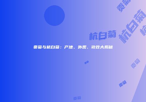 贡菊与杭白菊：产地、外观、功效大揭秘