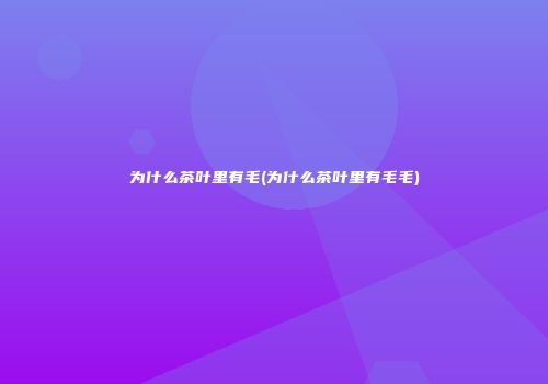 为什么茶叶里有毛(为什么茶叶里有毛毛)