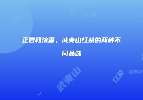 正岩和浓香，武夷山红茶的两种不同品味