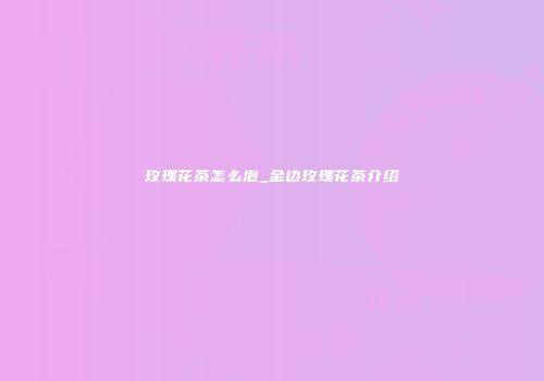玫瑰花茶怎么泡_金边玫瑰花茶介绍