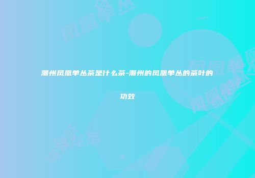潮州凤凰单丛茶是什么茶-潮州的凤凰单丛的茶叶的功效