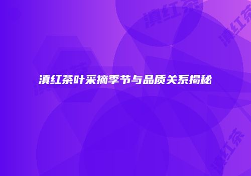 滇红茶叶采摘季节与品质关系揭秘