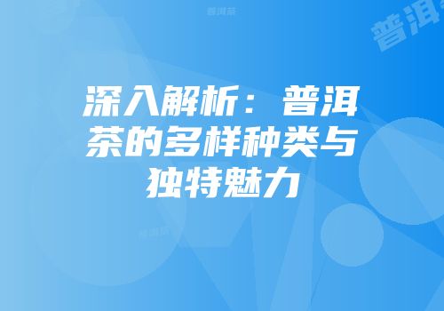 深入解析：普洱茶的多样种类与独特魅力