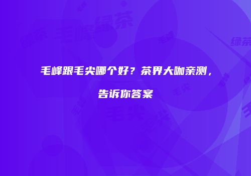 毛峰跟毛尖哪个好？茶界大咖亲测，告诉你答案