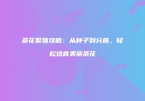 茶花繁殖攻略：从种子到分株，轻松培育美丽茶花