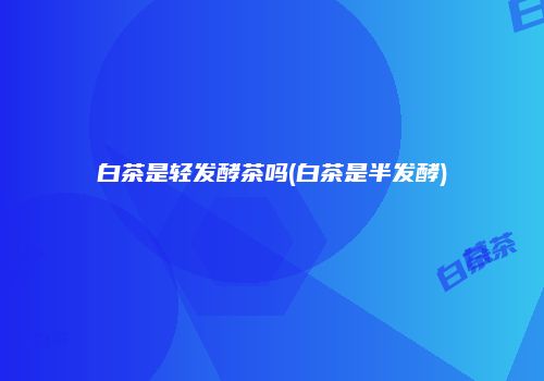白茶是轻发酵茶吗(白茶是半发酵)