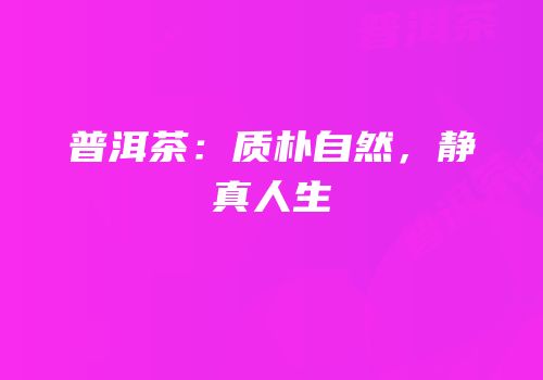 普洱茶：质朴自然，静真人生