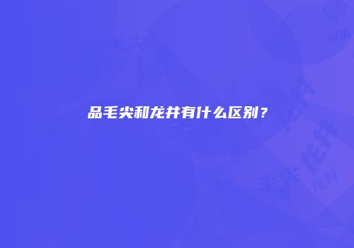 品毛尖和龙井有什么区别？