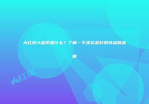 大红袍六品系是什么？了解一下这款茶叶的特点和品质