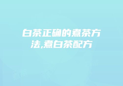 白茶正确的煮茶方法,煮白茶配方