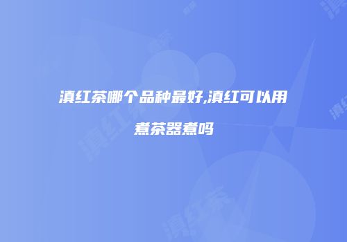 滇红茶哪个品种最好,滇红可以用煮茶器煮吗