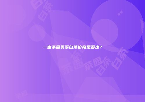 一亩茶园资溪白茶价格是多少？