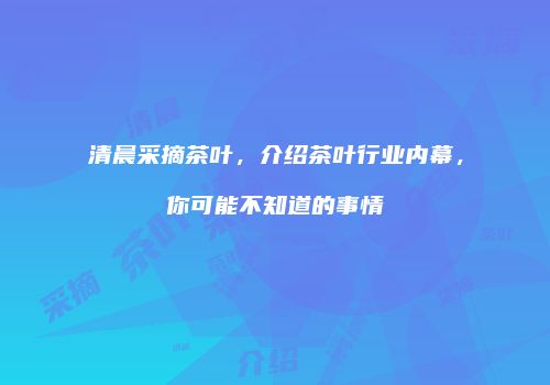 清晨采摘茶叶，介绍茶叶行业内幕，你可能不知道的事情