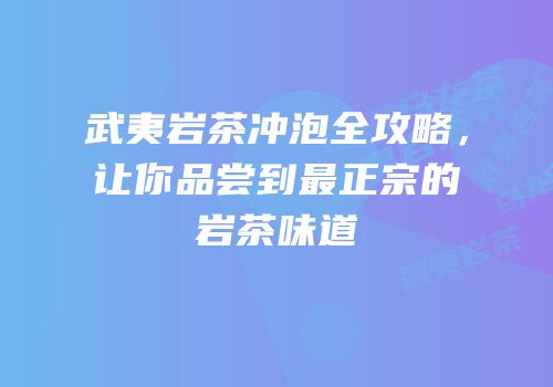 武夷岩茶冲泡全攻略，让你品尝到最正宗的岩茶味道