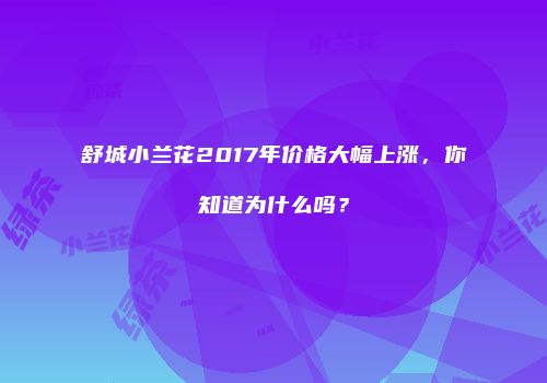 舒城小兰花2017年价格大幅上涨，你知道为什么吗？