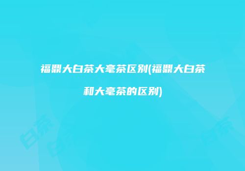 福鼎大白茶大毫茶区别(福鼎大白茶和大毫茶的区别)
