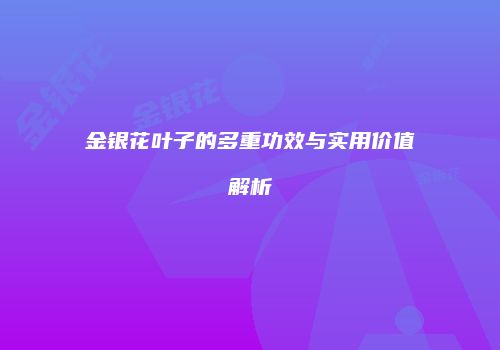 金银花叶子的多重功效与实用价值解析