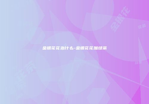 金银花花治什么-金银花花加绿茶