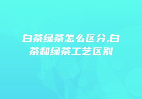 白茶绿茶怎么区分,白茶和绿茶工艺区别