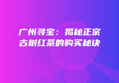 广州寻宝：揭秘正宗古树红茶的购买秘诀
