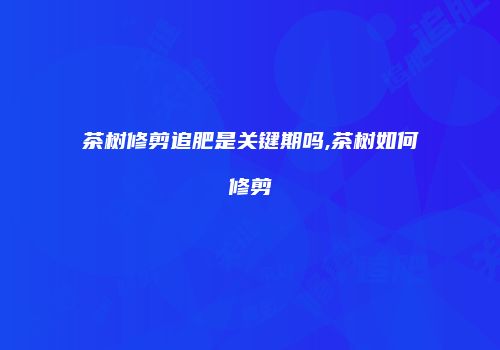 茶树修剪追肥是关键期吗,茶树如何修剪