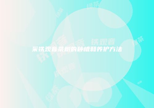 采铁观音茶树的种植和养护方法