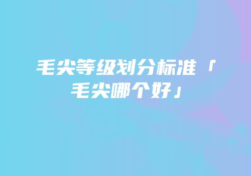 毛尖等级划分标准「毛尖哪个好」