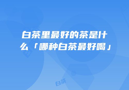 白茶里最好的茶是什么「哪种白茶最好喝」