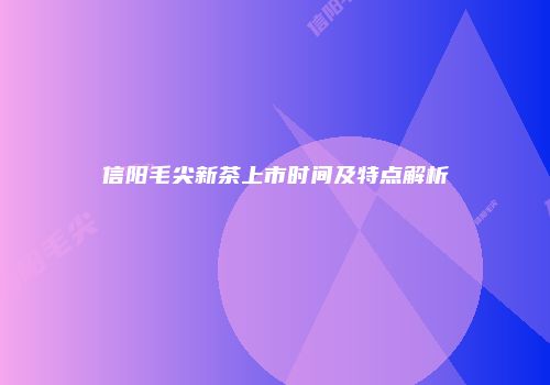 信阳毛尖新茶上市时间及特点解析