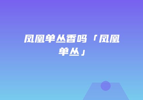凤凰单丛香吗「凤凰单丛」