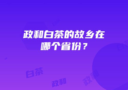 政和白茶的故乡在哪个省份？