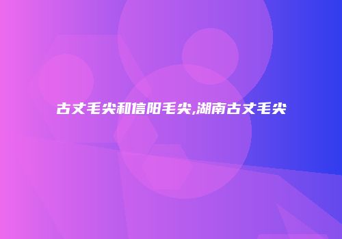 古丈毛尖和信阳毛尖,湖南古丈毛尖