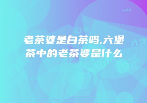 老茶婆是白茶吗,六堡茶中的老茶婆是什么