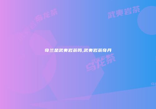 奇兰是武夷岩茶吗,武夷岩茶奇丹