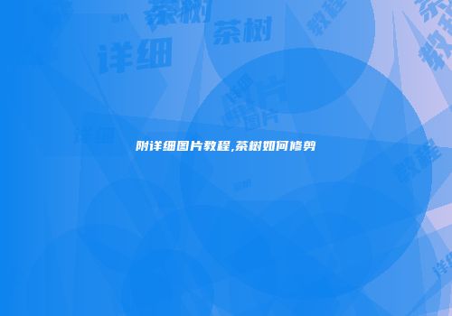 附详细图片教程,茶树如何修剪