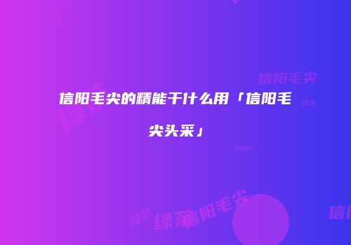 信阳毛尖的精能干什么用「信阳毛尖头采」