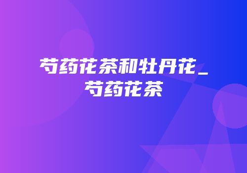 芍药花茶和牡丹花_芍药花茶