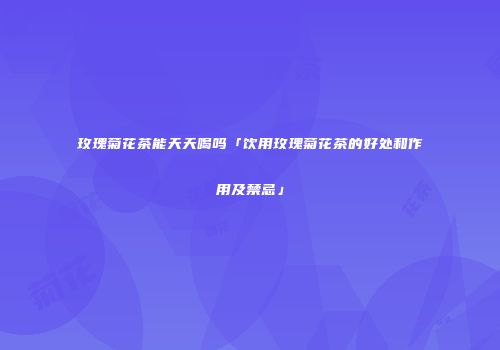 玫瑰菊花茶能天天喝吗「饮用玫瑰菊花茶的好处和作用及禁忌」