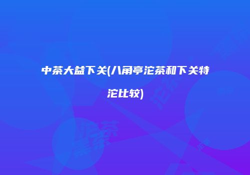 中茶大益下关(八角亭沱茶和下关特沱比较)