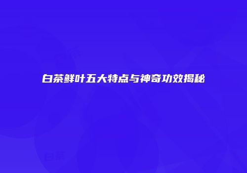 白茶鲜叶五大特点与神奇功效揭秘