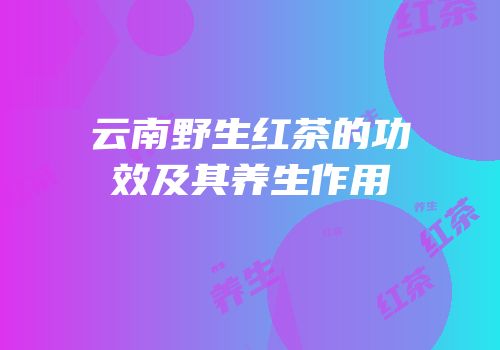 云南野生红茶的功效及其养生作用