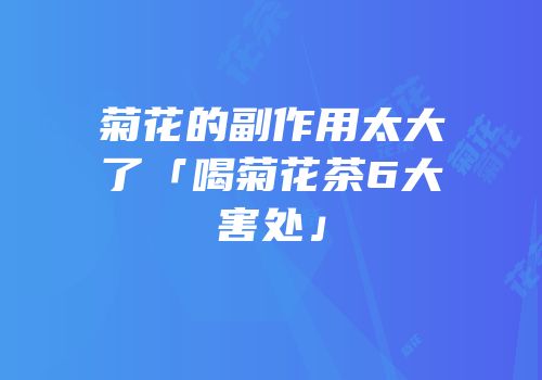 菊花的副作用太大了「喝菊花茶6大害处」