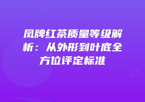 凤牌红茶质量等级解析：从外形到叶底全方位评定标准