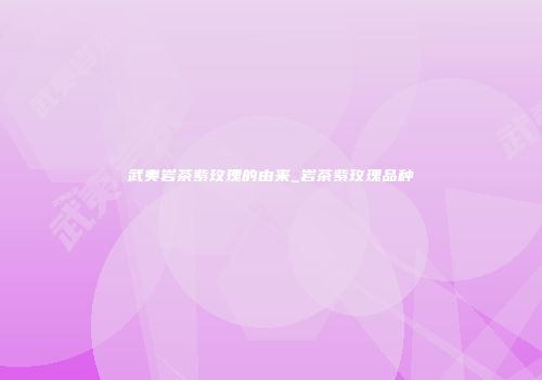 武夷岩茶紫玫瑰的由来_岩茶紫玫瑰品种