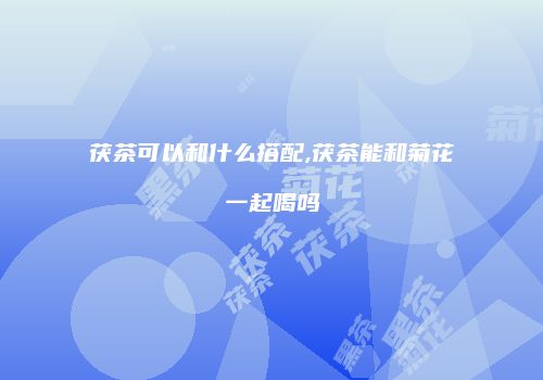 茯茶可以和什么搭配,茯茶能和菊花一起喝吗